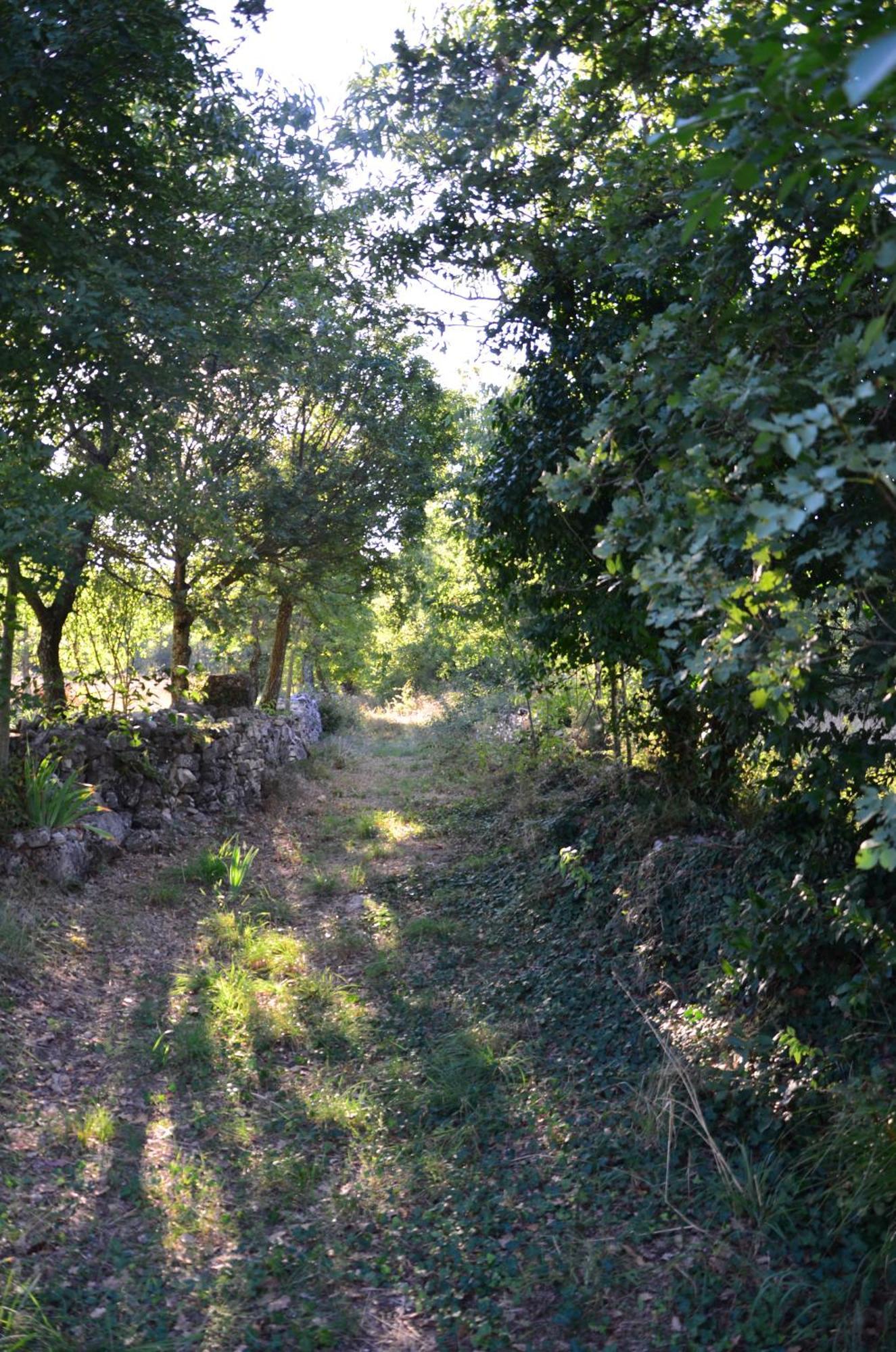 Villa Leopoldo By Istrian Country Houses Barat  外观 照片