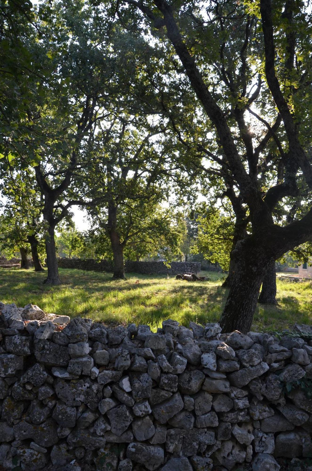 Villa Leopoldo By Istrian Country Houses Barat  外观 照片
