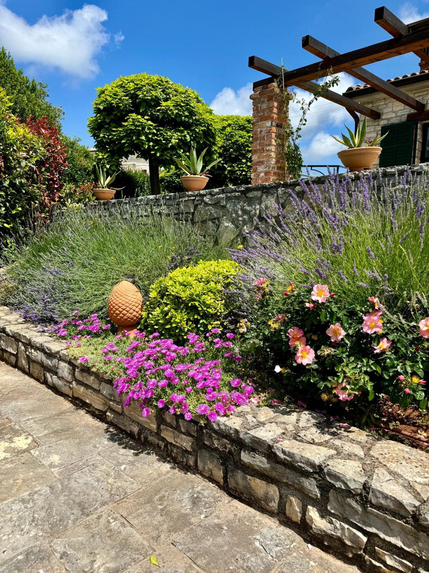 Villa Leopoldo By Istrian Country Houses Barat  外观 照片